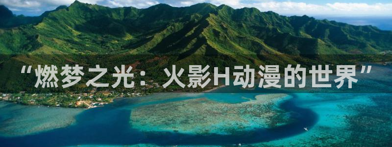age动漫网下载：“燃梦之光：火影H动漫的世界”