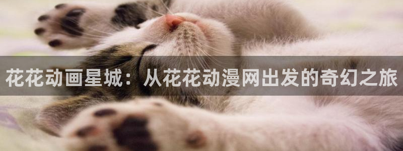 age动漫官网樱花动漫
