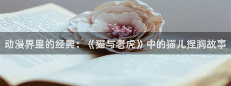 age动漫官网入口老版本
