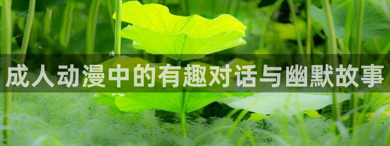 age动漫