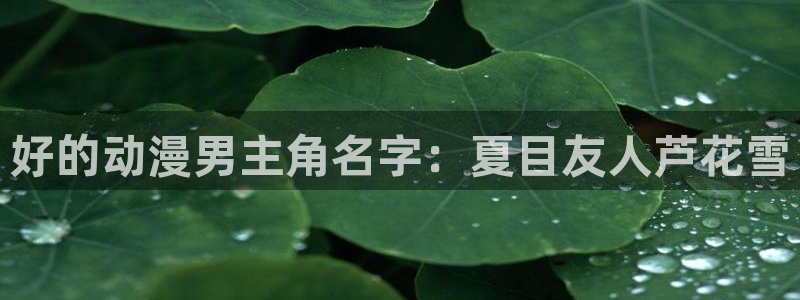 age樱花动漫：好的动漫男主角名字：夏目友人芦花雪