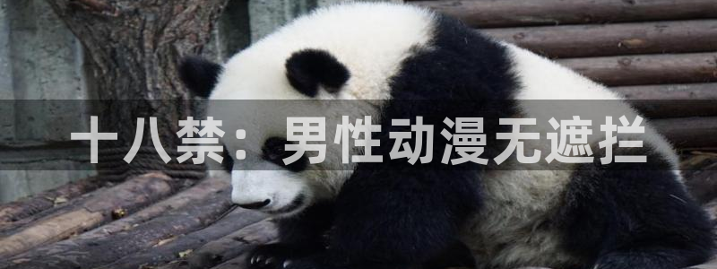 age动漫下载：十八禁：男性动漫无遮拦