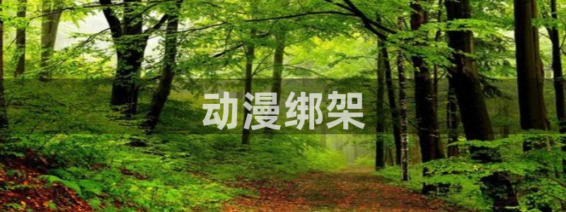 age动漫官网入口老版本