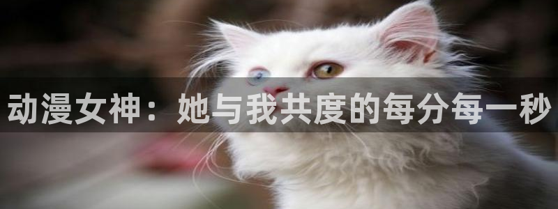 age动漫樱花