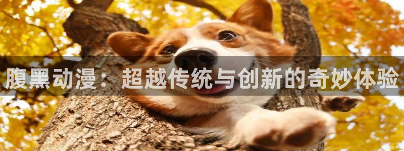 age动漫网上看：腹黑动漫：超越传统与创新的奇妙体验