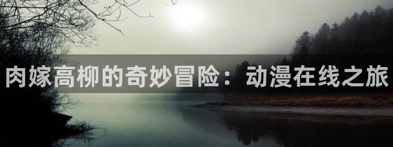 age动漫：肉嫁高柳的奇妙冒险：动漫在线之旅