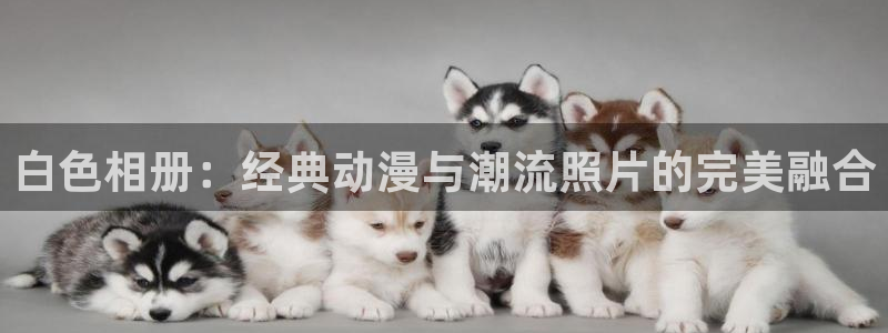 age专注动漫的门户网站：白色相册：经典动漫与潮流照片的完美融合