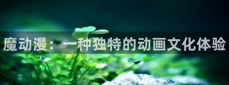 age动漫下载：魔动漫：一种独特的动画文化体验