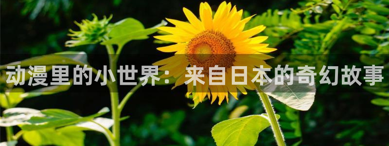 colamanage漫画下载：动漫里的小世界：来自日本的奇幻故事