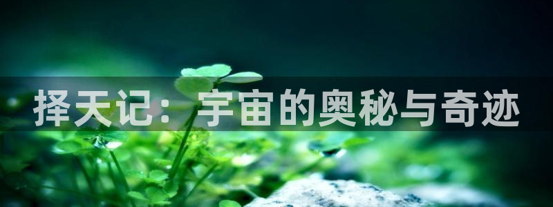age动漫网下载：择天记：宇宙的奥秘与奇迹