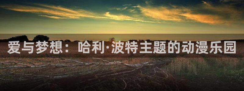 stagenehind韩漫免费观看：爱与梦想：哈利·波特主题的动漫乐园