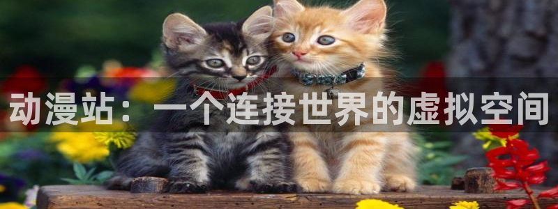 下载age动漫：动漫站：一个连接世界的虚拟空间