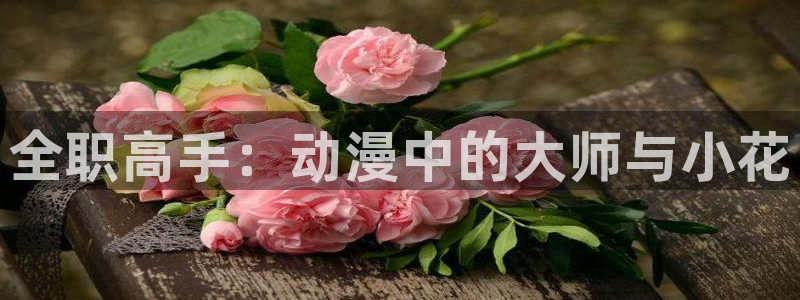 volcanicage漫画：全职高手：动漫中的大师与小花