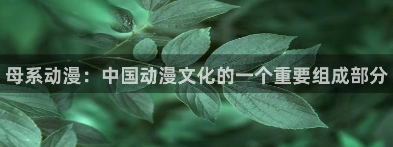 age动漫正版网：母系动漫：中国动漫文化的一个重要组成部分