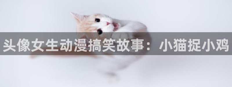 age动漫网官网入口：头像女生动漫搞笑故事：小猫捉小鸡