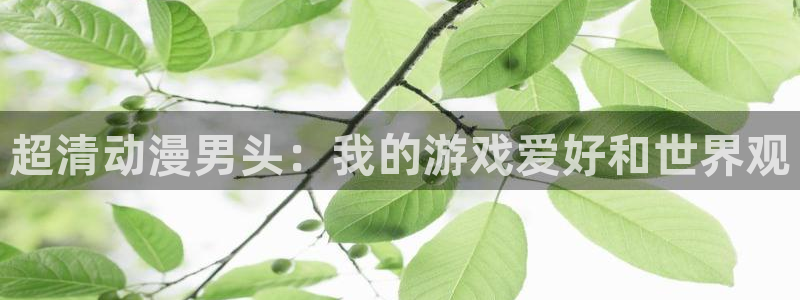 age动漫网上看：超清动漫男头：我的游戏爱好和世界观