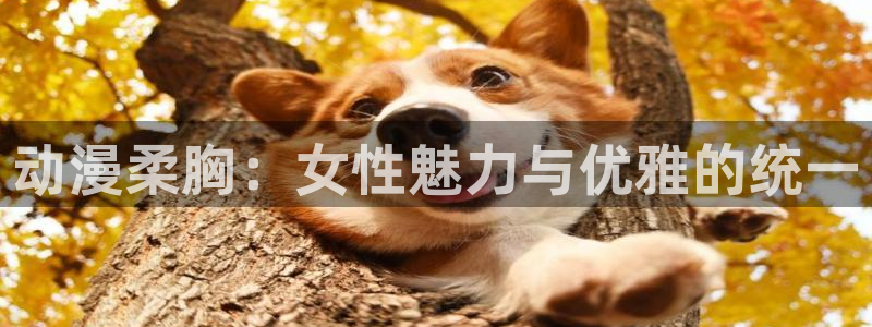 age动漫官网在线入口：动漫柔胸：女性魅力与优雅的统一