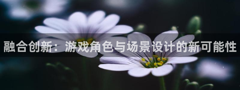 age专注动漫的门户网站：融合创新：游戏角色与场景设计的新可能性