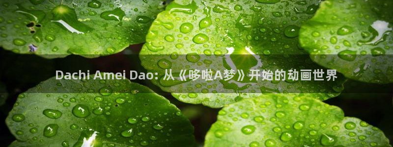 age动漫omofun：Dachi Amei Dao: 从《哆啦A梦》开始的动画世界