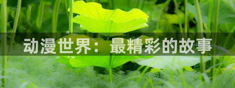 age动漫官网版入口：动漫世界：最精彩的故事