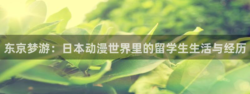 age动漫正版网：东京梦游：日本动漫世界里的留学生生活与经历