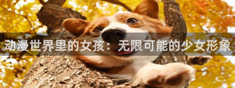 age动漫官网在线入口：动漫世界里的女孩：无限可能的少女形象