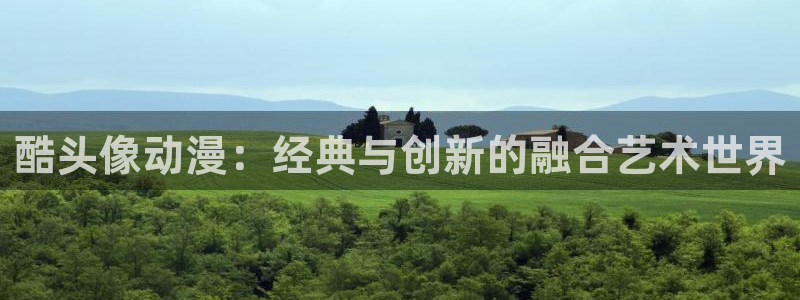 age动漫正版网：酷头像动漫：经典与创新的融合艺术世界