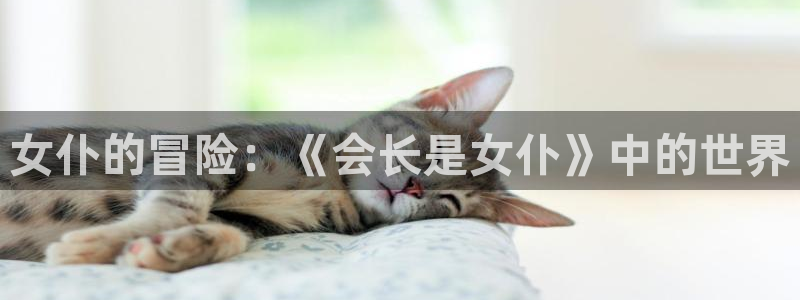 backstage韩漫免费观看：女仆的冒险：《会长是女仆》中的世界