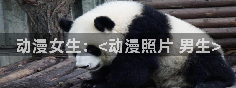 age动漫官网樱花动漫：动漫女生：<动漫照片 男生>